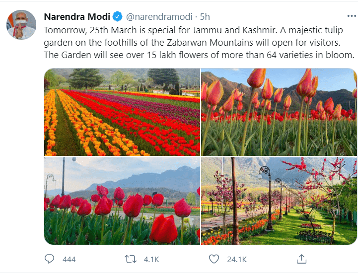 Tulip Festival 2021