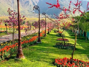 tulipfestival8