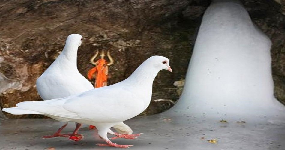 amarnath yatra planning
